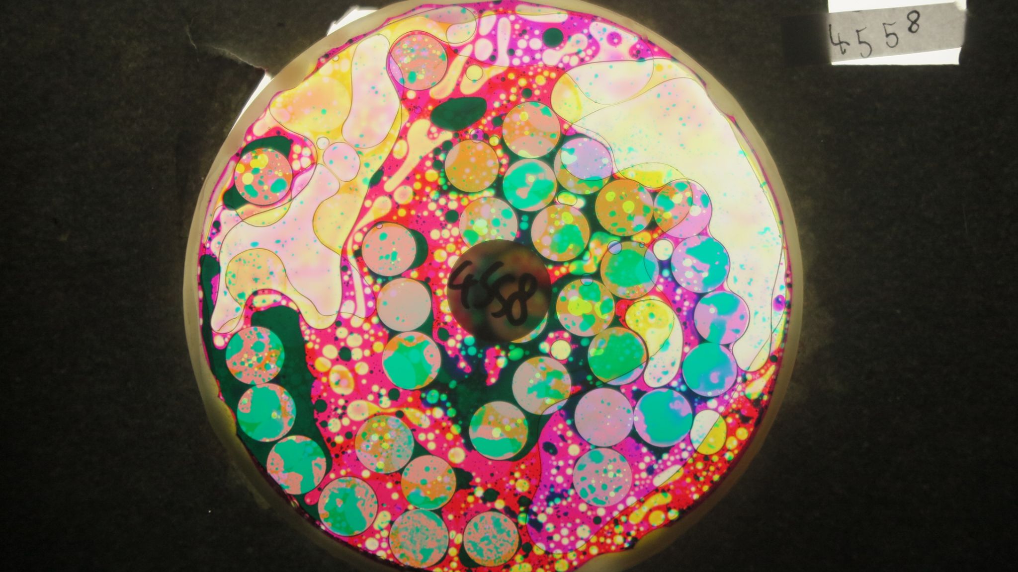 BV4558 bubble vision oil wheel